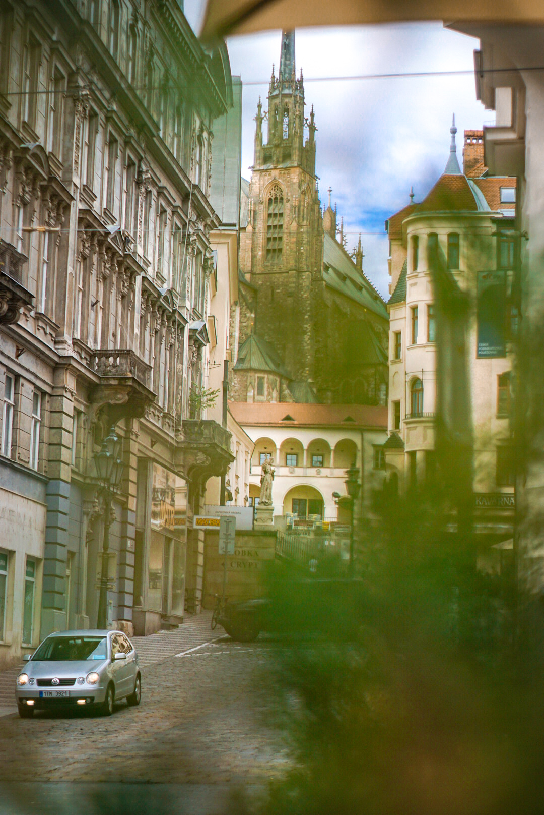 church in brno shot through plants in the foreground