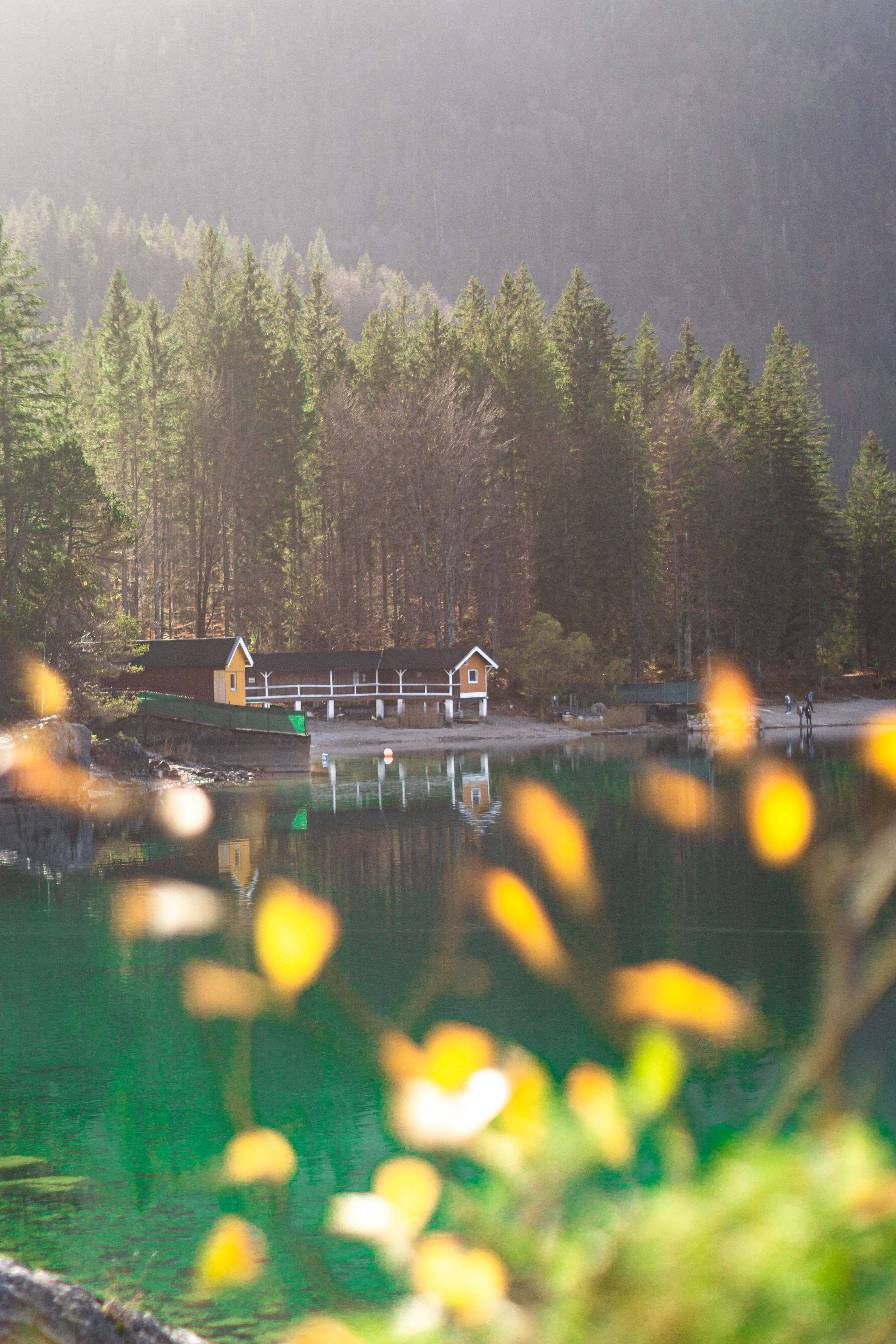 Idyllic Photograph of a lakehouse. In the foreground there are unfocused yellow flowers. In the focus there's an idyllic lakehouse in between high conifers. The sun shines warm yellow light through the trees onto the lake house and the turquoise-green-blue water. 