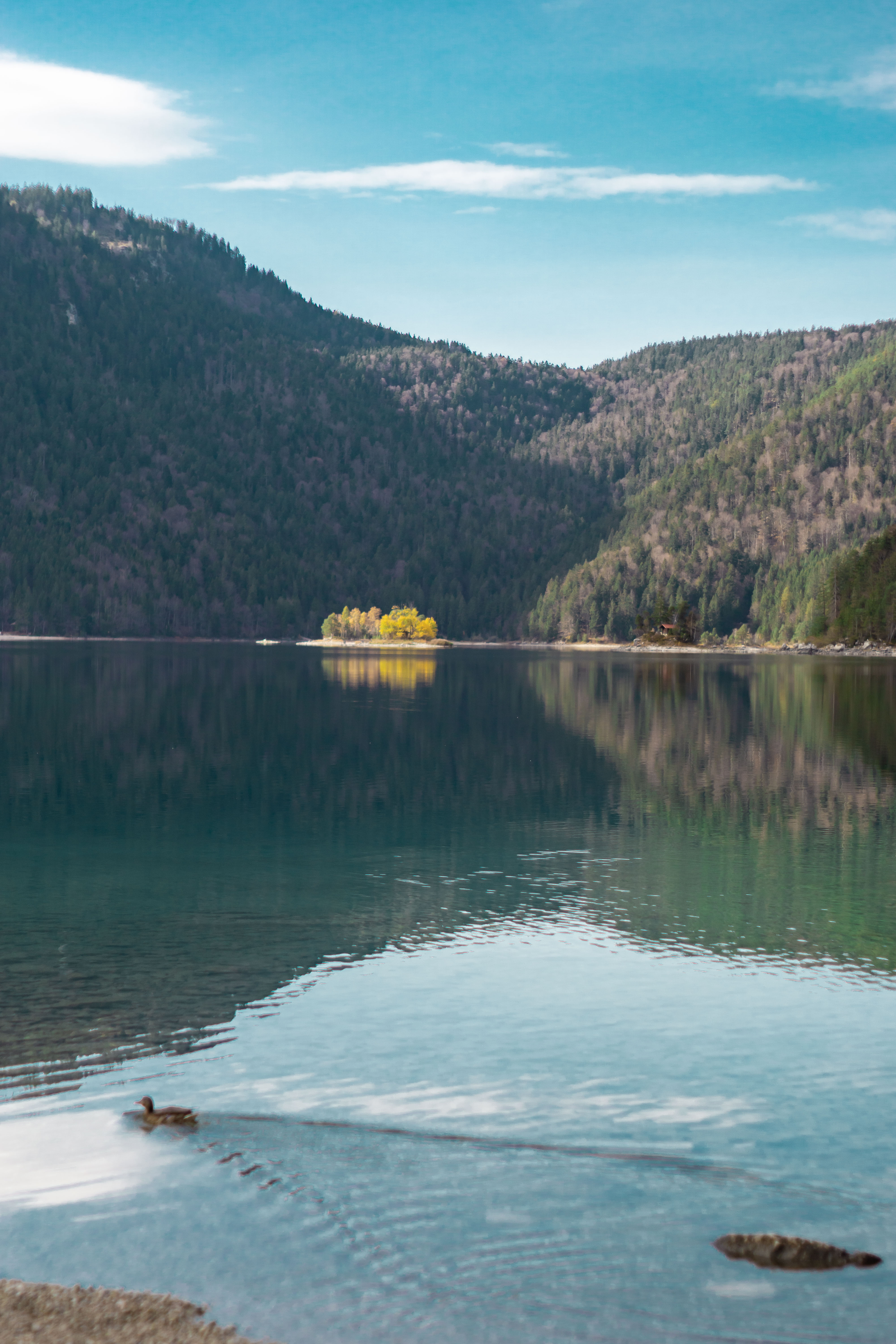 Photograph of a lake: in the foreground are blurred rough stones, in the focus iare two small round islands with autumnal yellow trees on a lake in the far distance. Mountains can be seen in the background. In the foreground you can see a duck swimming through the water.